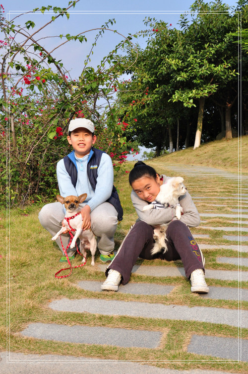 2012年大帽山的初春和初冬游 - 袋鼠媽 - 袋鼠媽