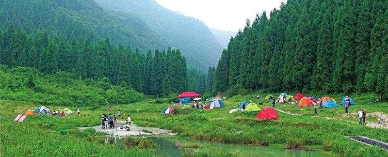 郊區(qū)露營(yíng)基地 - 81226646 - 榴蓮