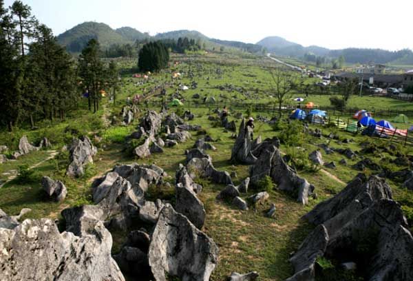 郊區(qū)露營(yíng)基地 - 81226646 - 榴蓮