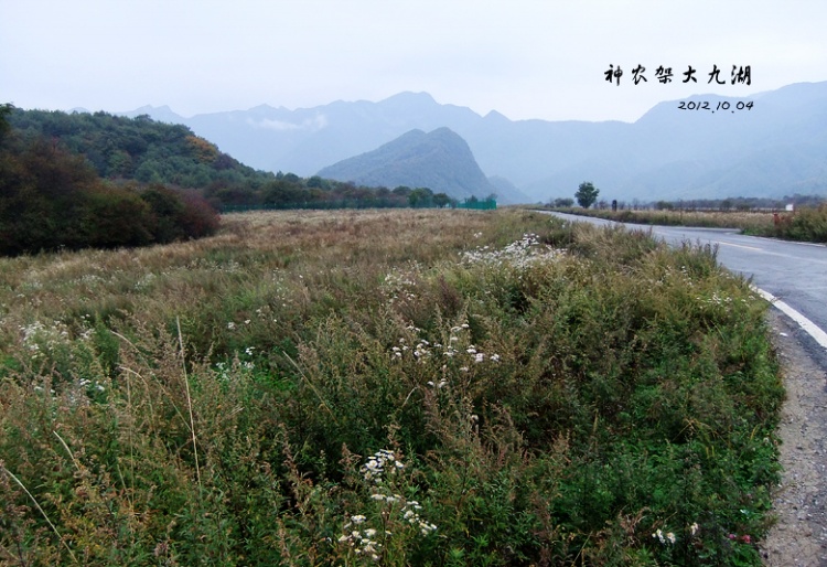 【走走聊聊拍拍】自駕神農(nóng)架——大九湖 - 手指也跳舞 - 跳舞姐姐的手工莊園