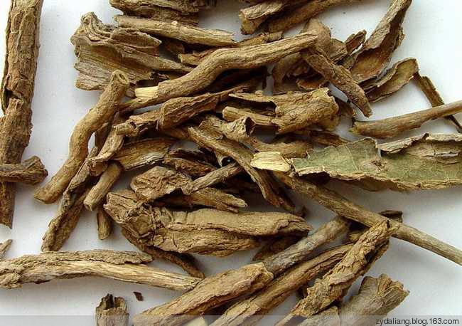 秘方： 血糖偏高，喝了準(zhǔn)好！ - 瀛子 - 瀛の小箋