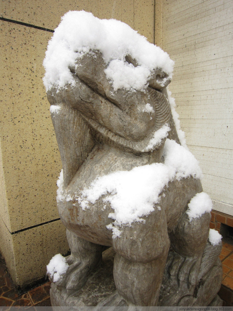 霸王寒潮來(lái)襲 - 林中漫步 - 鉤針時(shí)光