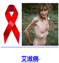健康百科 - 財(cái)富玫瑰 - 財(cái)富玫瑰（陽光月月）