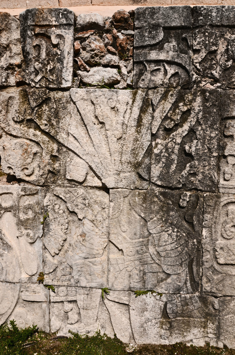 魚(yú)頭馬頭中美洲之行（9）-墨西哥奇琴伊察瑪雅城邦遺址 - cello-ma - cello-ma的博客