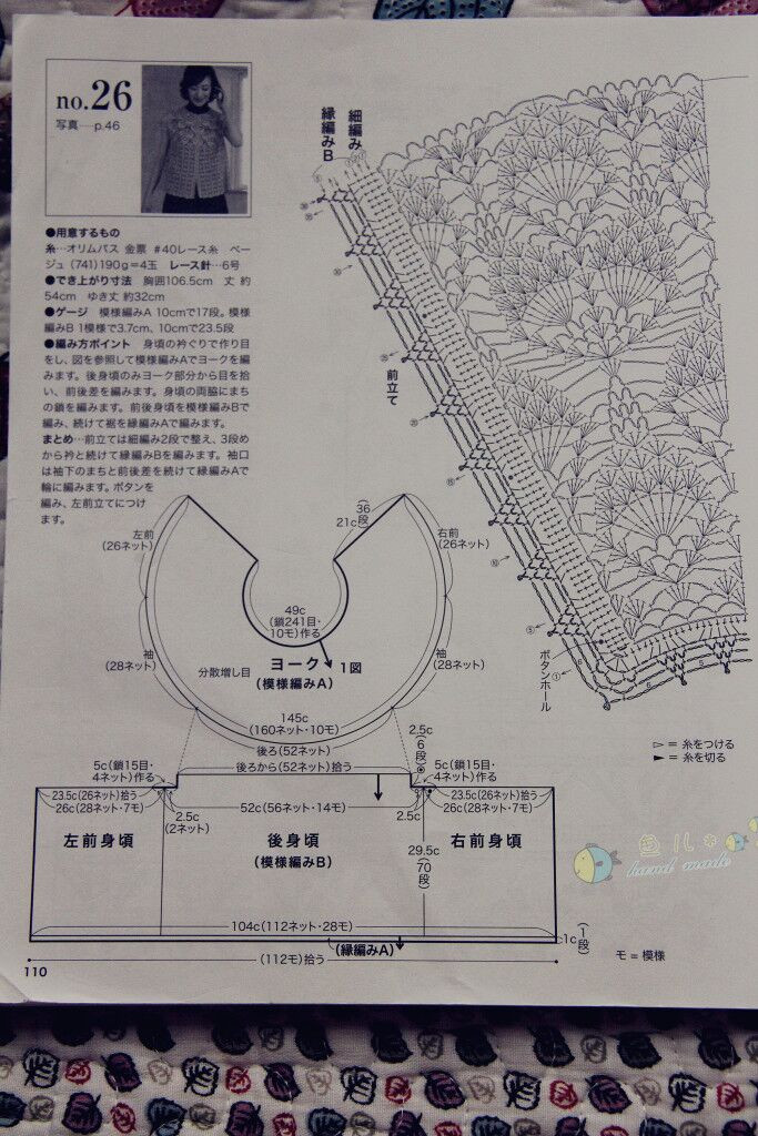 夏荷----綠色索菲亞雀羽 - 最?lèi)?ài)玫瑰 - 最?lèi)?ài)玫瑰的博客