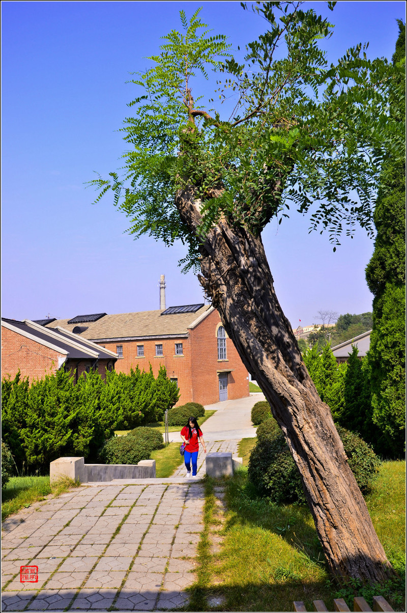 2014北方之行（4）-遼寧大連 - cello-ma - cello-ma的博客