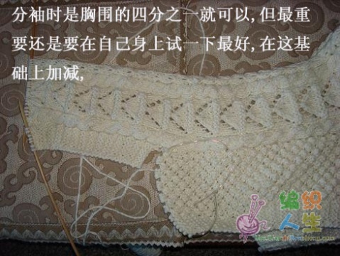 韓版菠蘿花短衣教材（源自網(wǎng)絡(luò)） - 蘋果園 - 蘋果園的博客