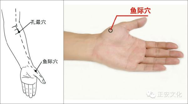 你會在半夜醒來嗎？比如一到凌晨1點(diǎn)多鐘就醒，或一到凌晨3點(diǎn)多鐘就醒。 - 子孫滿堂 - zheng101052c子孫滿堂的博客