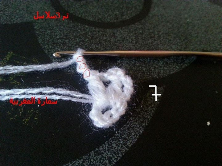 粉蝶飛飛（漂亮披肩，外國人教材，facebook好友轉(zhuǎn)） - Daphne Tsui - 因為愛所以愛