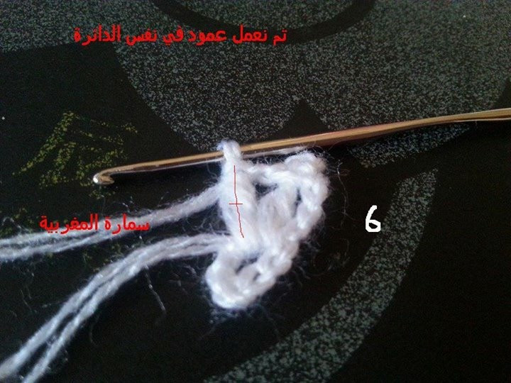 粉蝶飛飛（漂亮披肩，外國人教材，facebook好友轉(zhuǎn)） - Daphne Tsui - 因為愛所以愛