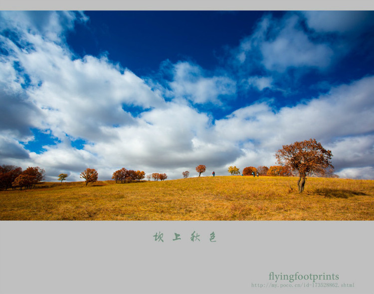 我是一棵秋天的樹(shù)【美圖共賞】 - 白石秋水 - 白石秋水