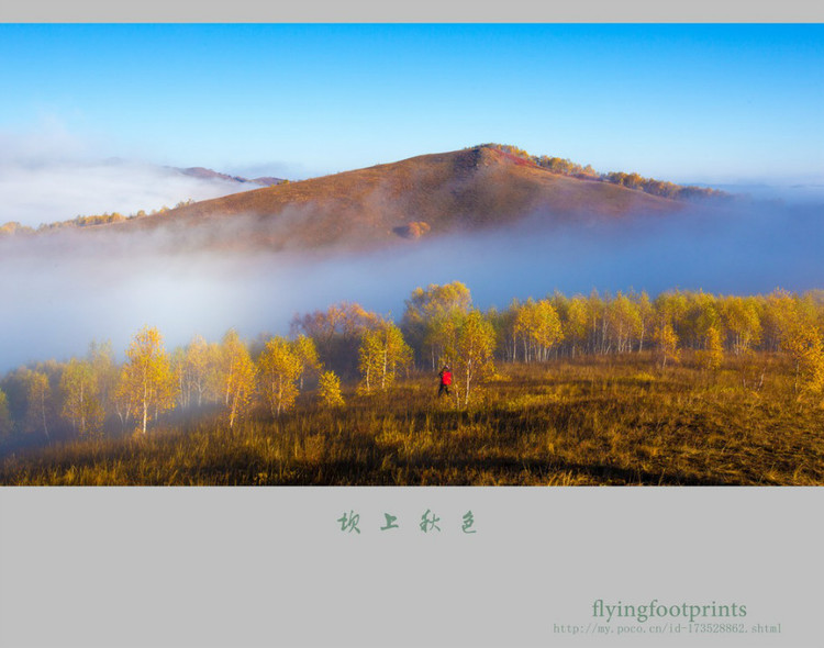 我是一棵秋天的樹(shù)【美圖共賞】 - 白石秋水 - 白石秋水