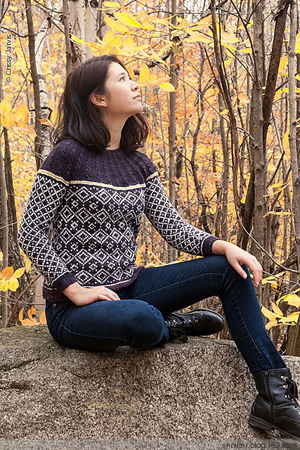 【舒舒編譯館】Twist Collective Winter 2014 細膩質(zhì)感編織 - sknitter - 【舒舒編譯館】