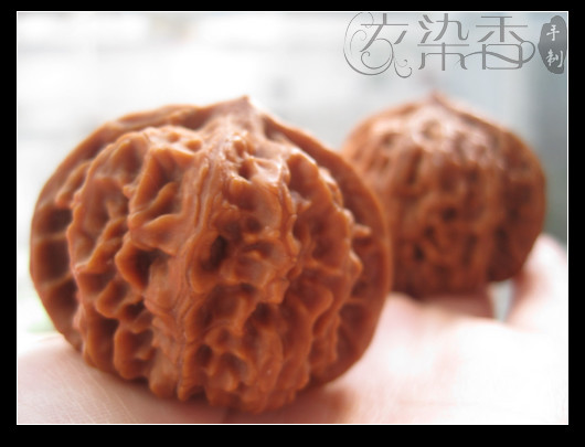 時(shí)光的片段…隨手拍的一些記錄… - 衣染香 - 若蘭軒