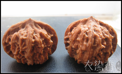 時(shí)光的片段…隨手拍的一些記錄… - 衣染香 - 若蘭軒