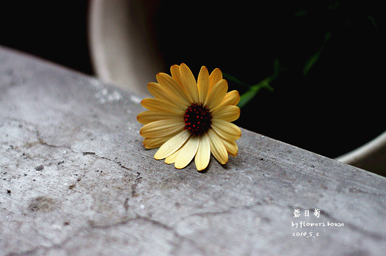 2014年的那些芬芳 - 花滿樓 - 花滿樓