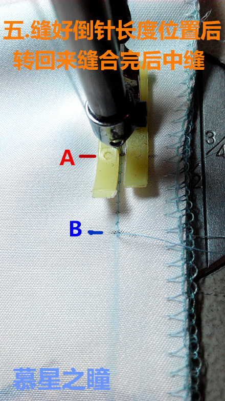 66234-6.jpg
