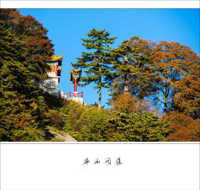 華山 問(wèn)道 - 學(xué)海無(wú)涯 - 讀書之法.在循序而漸進(jìn).熟讀而精思