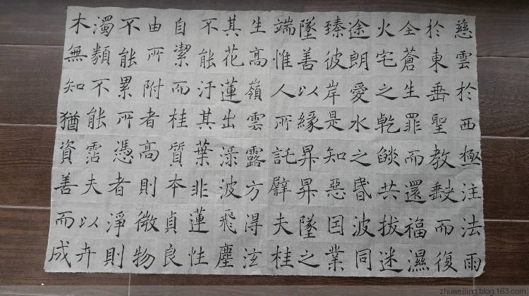臨習(xí)：趙世駿臨褚遂良雁塔圣教序 - 此情此景 - 此情此景