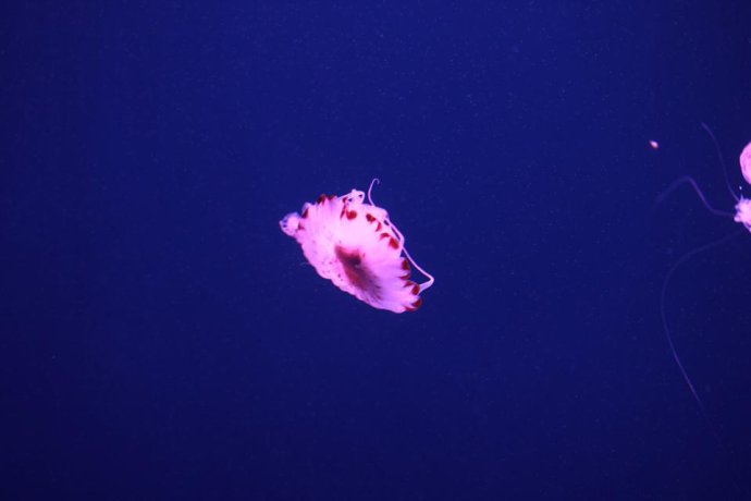 581-16.jpg
