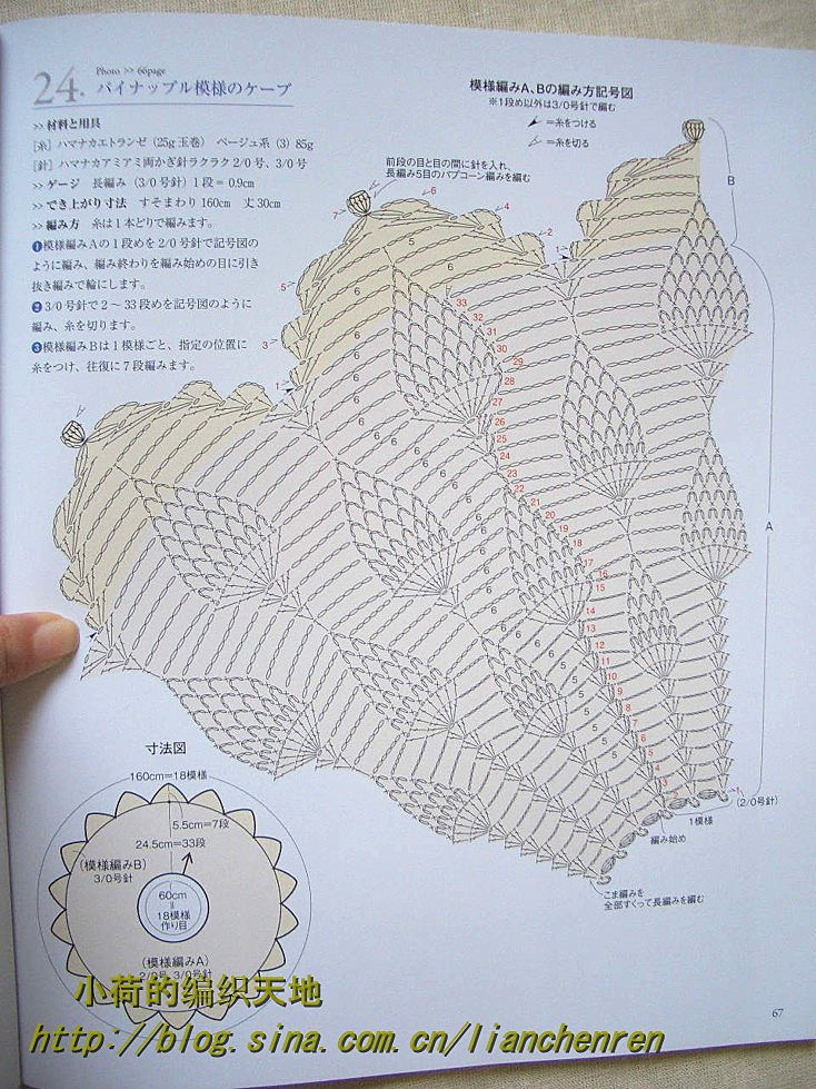 【A-Lin林】超美百搭菠蘿花披肩201517 - A-Lin林 - A-Lin的手工博客