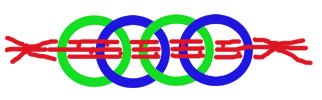 44943-8.jpg