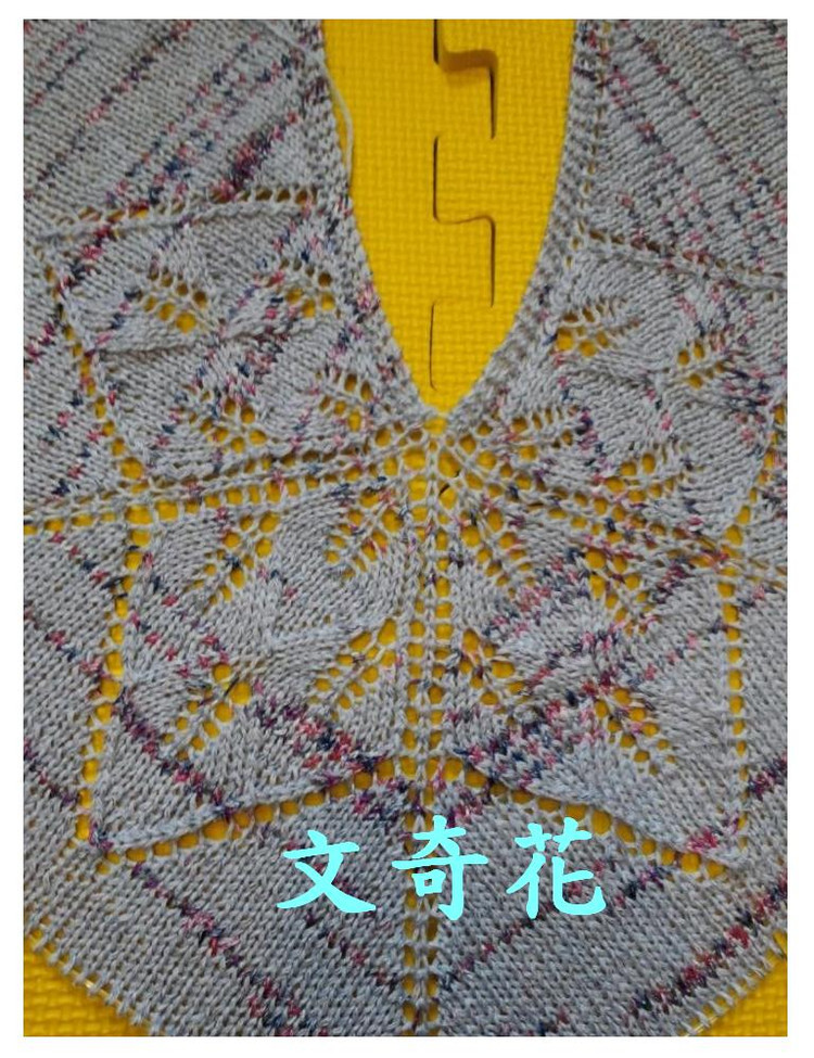 平針版綺蘿 - 文奇花 - 一方天地, 自娛自樂