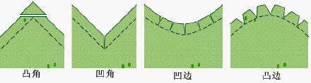 24267-0.jpg