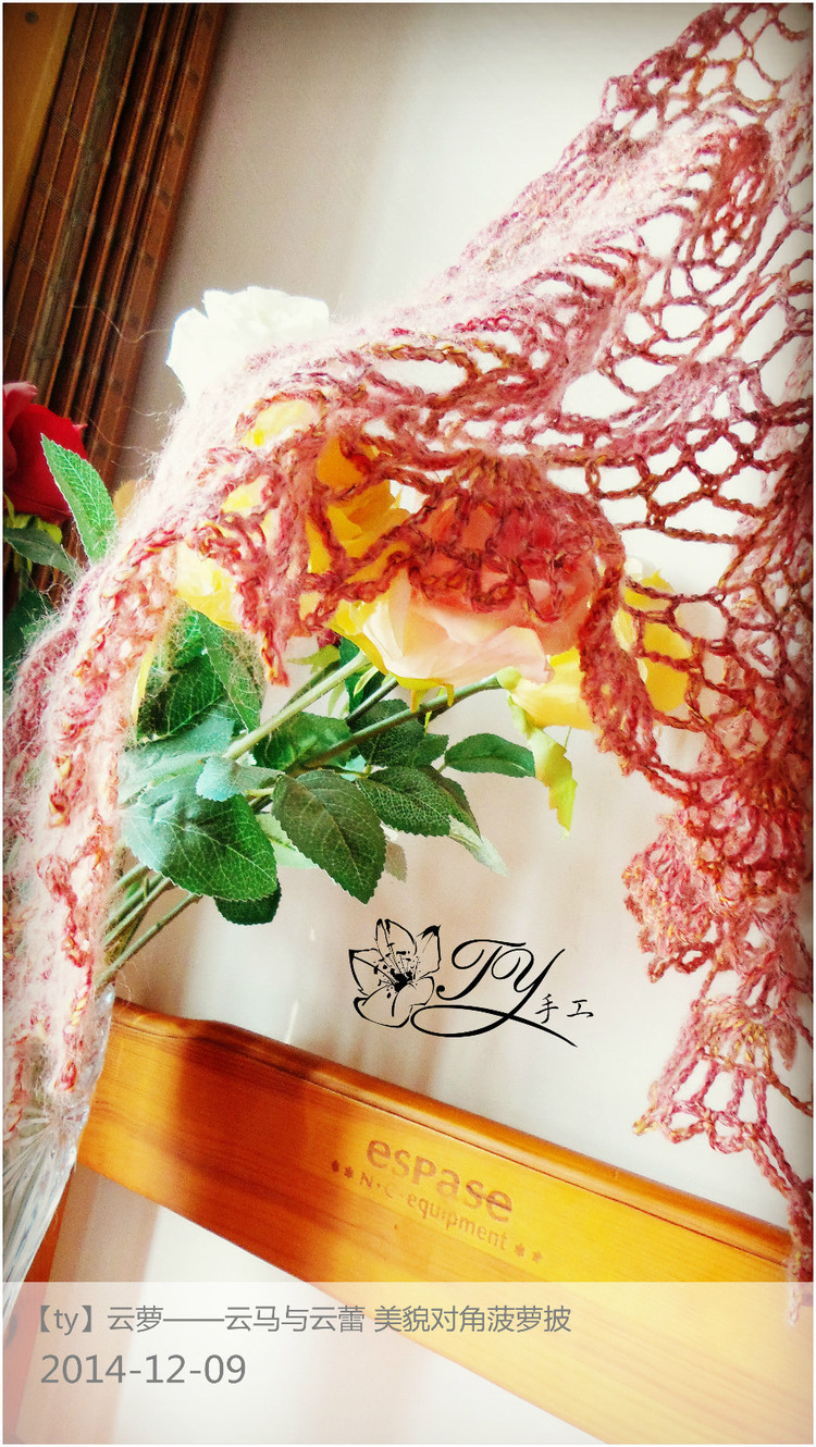 1459——云蘿——云馬與云蕾，美貌對角菠蘿披 - ty - ty 的 編織博客
