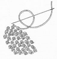 84908-5.jpg