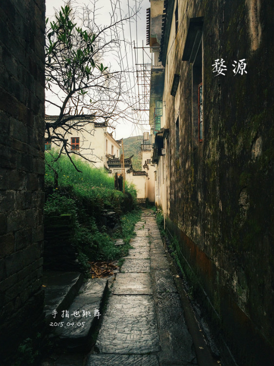 【走走聊聊拍拍】清明時(shí)節(jié)，最美鄉(xiāng)村 - 手指也跳舞 - 跳舞姐姐的手工莊園