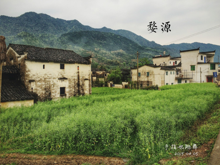 【走走聊聊拍拍】清明時(shí)節(jié)，最美鄉(xiāng)村 - 手指也跳舞 - 跳舞姐姐的手工莊園