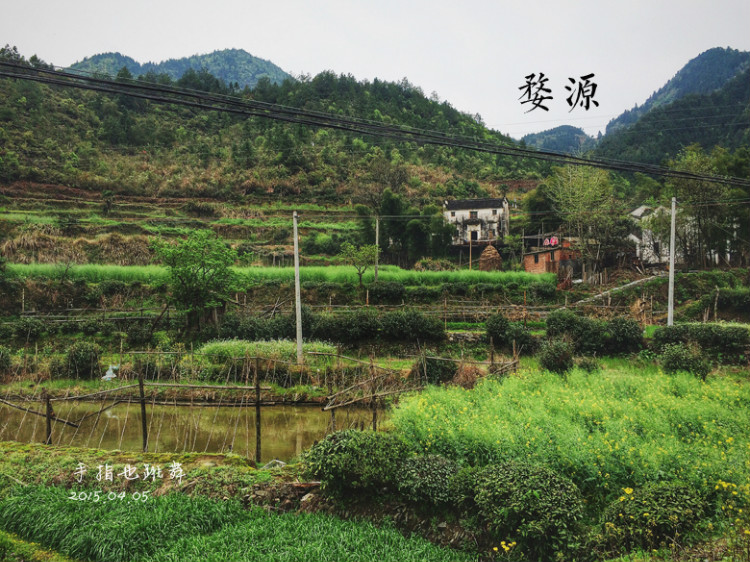 【走走聊聊拍拍】清明時(shí)節(jié)，最美鄉(xiāng)村 - 手指也跳舞 - 跳舞姐姐的手工莊園