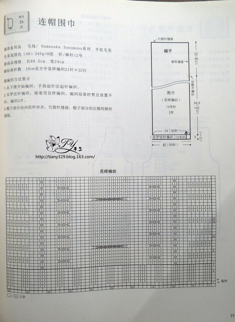 1548——蘇幕遮——麻花連帽圍巾（疙瘩群作業(yè)二） - ty - ty 的 編織博客