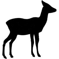 22241-37.jpg