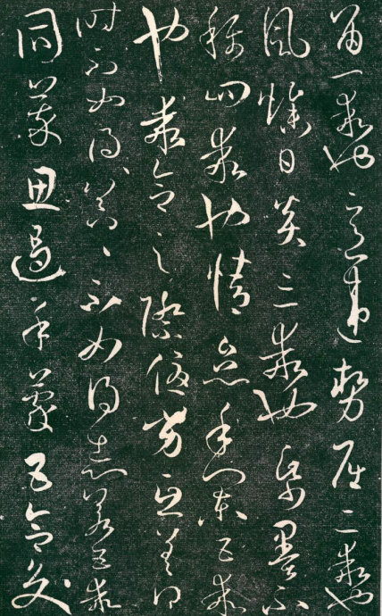5560-8.jpg