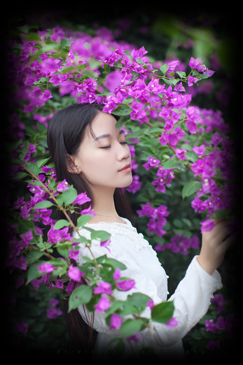 最美.遇見【情感美文】 - 白石秋水 - 白石秋水 最美.遇見【情感美文】 - 白石秋水 - 白石秋水