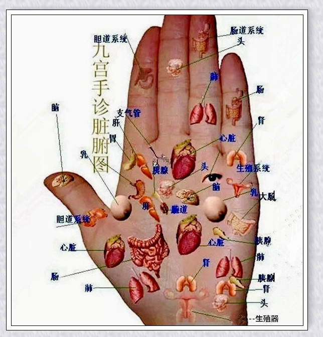 掀開被醫(yī)學(xué)界封鎖了70年的手診秘密 - 季老頭 - 季也親的博客