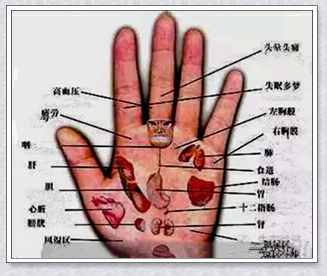 掀開被醫(yī)學(xué)界封鎖了70年的手診秘密 - 季老頭 - 季也親的博客