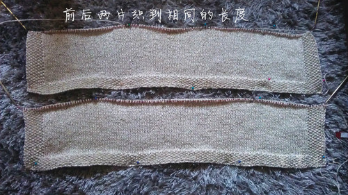 201309——金絲美人 - 果果 - 果果